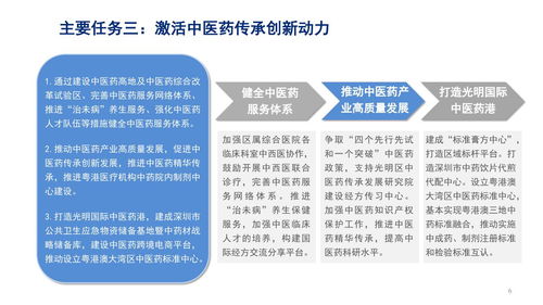 圖解光明區(qū)衛(wèi)生健康事業(yè)發(fā)展“十四五”規(guī)劃 浙江軟件開發(fā)的創(chuàng)新賦能